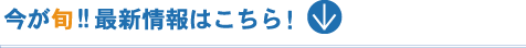 �����{ !!�@�ŐV���͂�����I