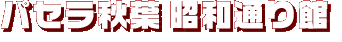 パセラ秋葉 昭和通り館