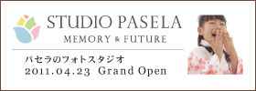 STUDIO PASELA