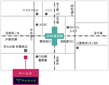 パームスへのアクセス