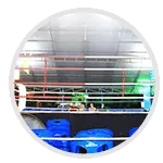プロレスリングの設置