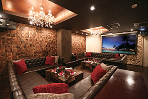 パセラリゾーツ秋葉原電気街店 足湯付きVIPルーム『Garden Suite(ガーデン　スイート）』