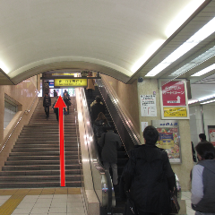 池袋駅西口（中央）の「19出口」への階段、またはエスカレーターを上がり、地上へ出ます。