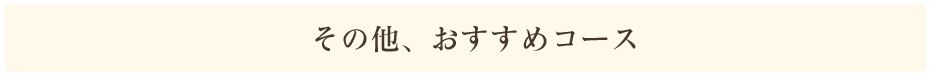 おすすめコース
