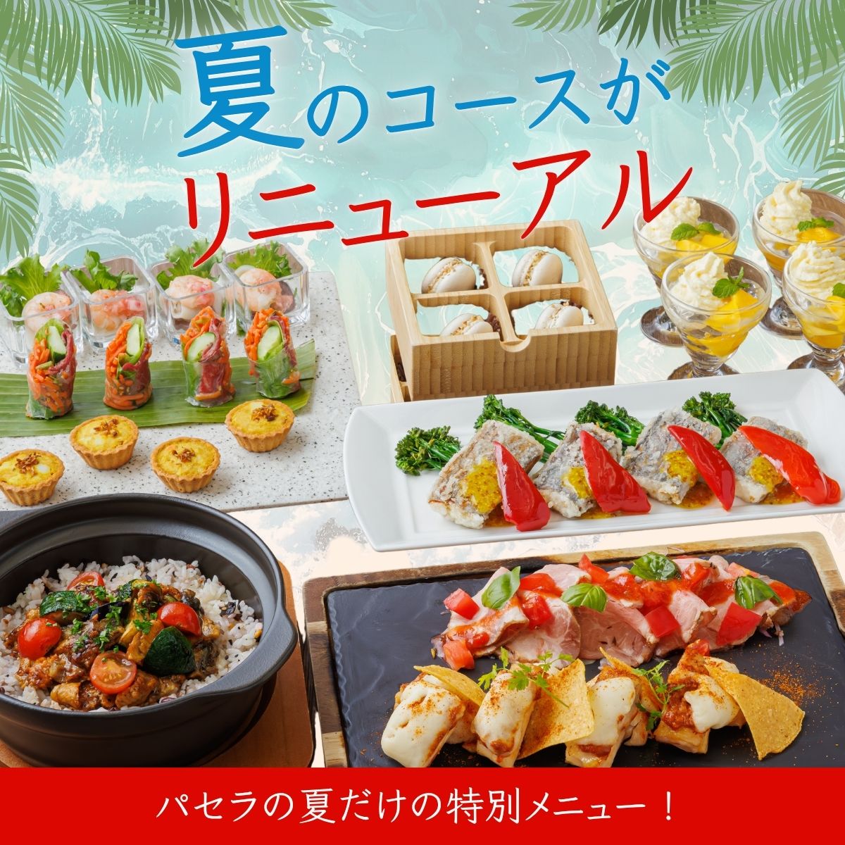 夏限定コースが登場！